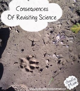 Consequences of Revisiting Science