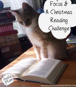 focus and a christmas reading challenge