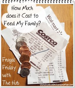 How much does ti cost to feed my family?