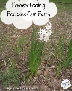 Homeschooling Focuses Our Faith