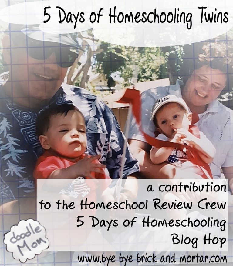 5 Days of Homeschooling Twins