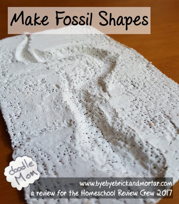 fossil shapes