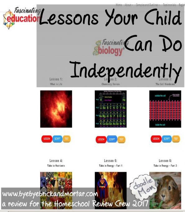 Lessons your child can do independently