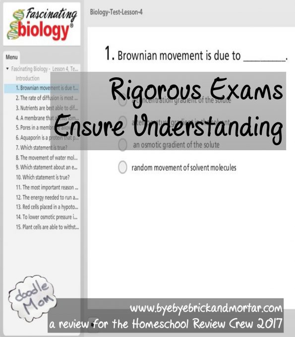 Rigorous Exams Ensure Understanding