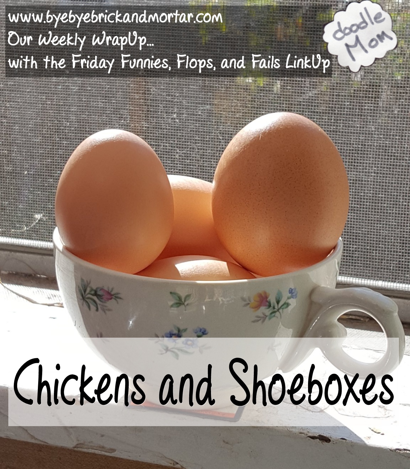 Chickens and Shoeboxes