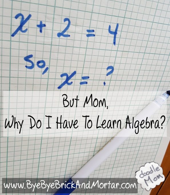 But Mom Why Do I Have To Learn Algebra?
