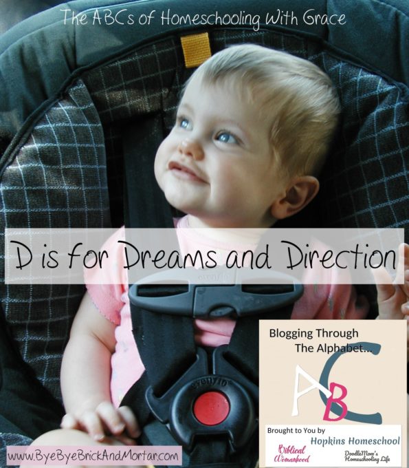 D is for Dreams and Direction