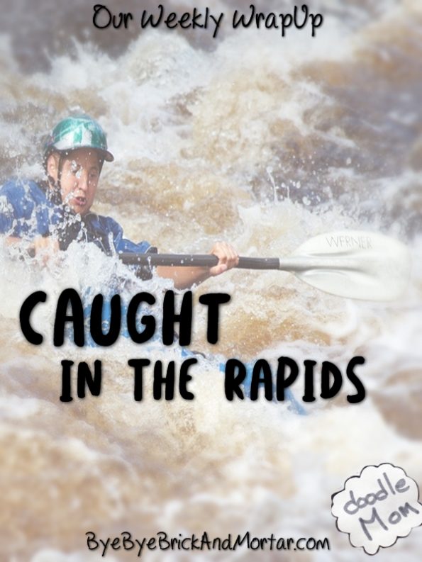 Caught in the Rapids