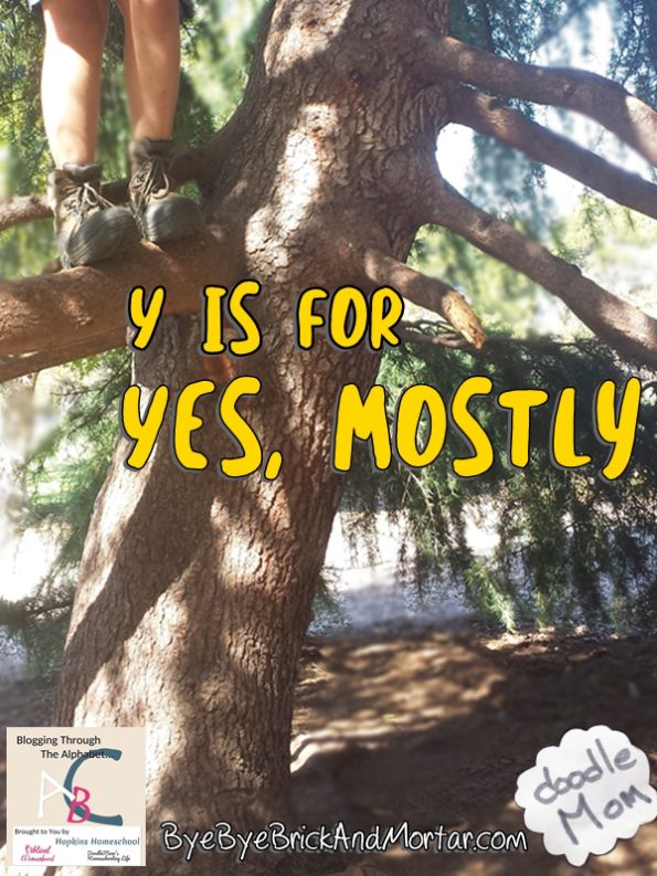 Y is for Yes, Mostly