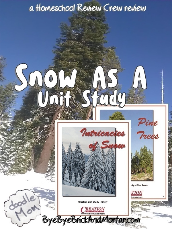 Snow as a Unit Study