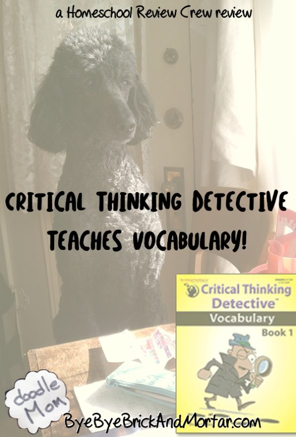 Critical Thinking Detective